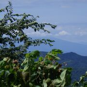 はっきりと岩木山は見えませんでしたが他にも見所あります