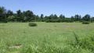 広場のような場所