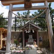 盛りだくさんの神社