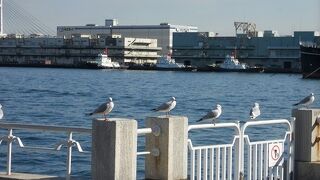 海沿いの公園としては最高だと思います