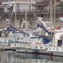 シラスをとる網を付けた漁船が漁港にたくさん停泊していた