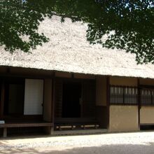 全体の様子です。