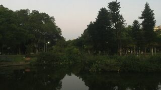 青年公園