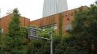 立地のせいか洋書も多い