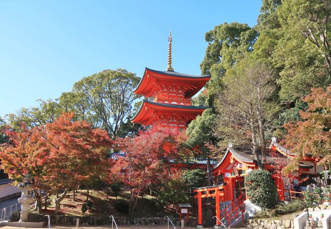 平敦盛の菩提寺