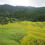 山の中の棚田。