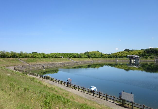 白川ダム(白川溜池)