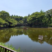 池を中心にした公園です