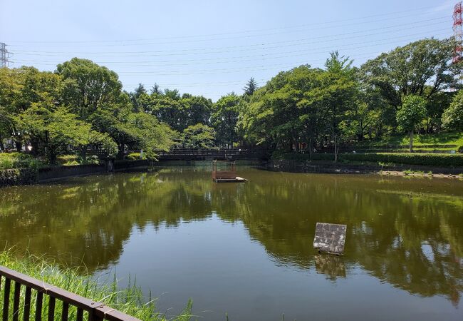 巨人の足跡と謂われる池があります