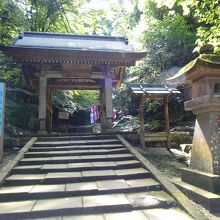 この階段を上がっていきます。