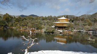 雪とのコラボが最高でした