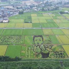 ２０２２年越谷田んぼアート