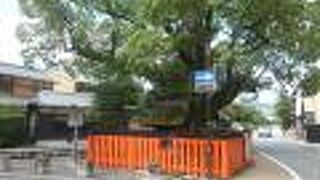 明神川の守護神