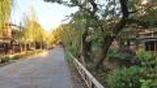 白川沿いの石畳の道