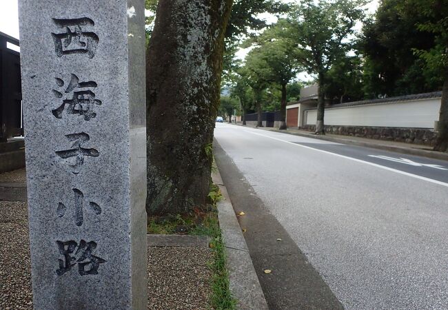 春、桜満開になり、花見の人でにぎわうそうだ