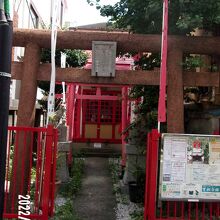 全体の様子です。