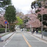 元町公園から港の見える丘公園までは人気区間です