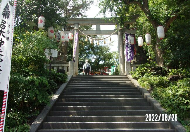 夏祭りが行われていました。