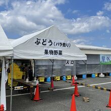 シーズン中は特設売り場が出現