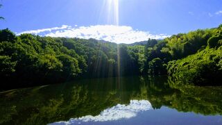 ひっそりとしています