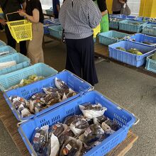 多くのブドウが並ぶ