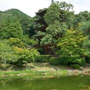 瑠璃光寺のある公園