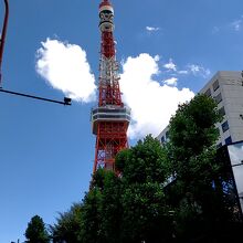 永井坂から見た東京タワー