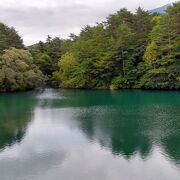 湖面に森の緑が映り、霧の磐梯山が見える幻想的な景色。ハートの鯉に会える！　