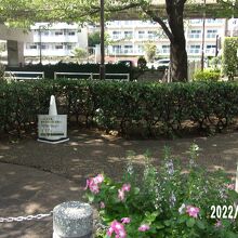 全体の様子です。