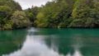 湖面に森の緑が映り、霧の磐梯山が見える幻想的な景色。ハートの鯉に会える！　