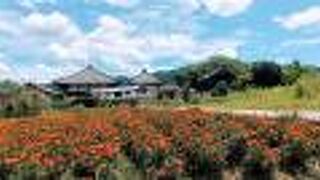 ご本尊は撮影可