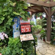 リーズナブルに沖縄料理が味わえます。