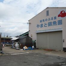 経営するやまと金魚園