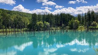 天候や条件によって変わる色