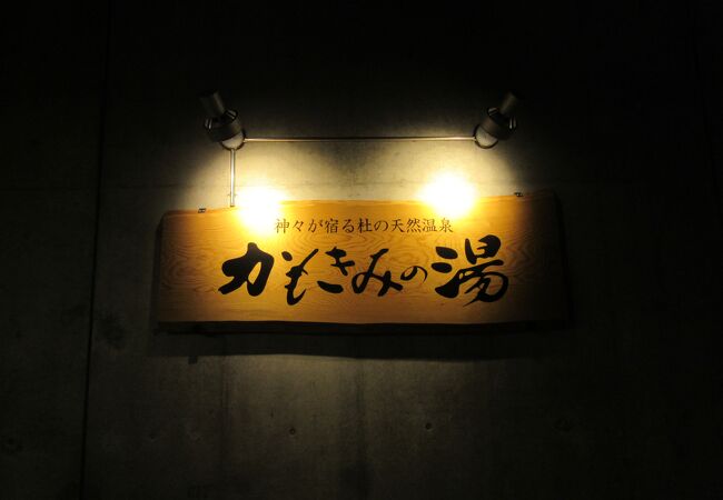 周辺は公園として整備されており日帰り温泉以外にもRVパークが併設されていたり、なかなかの規模の施設です