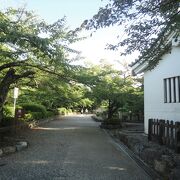 琵琶湖畔のお城のある公園