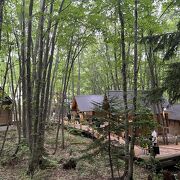 森の中の１５軒のログハウス