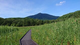 大谷地湿原