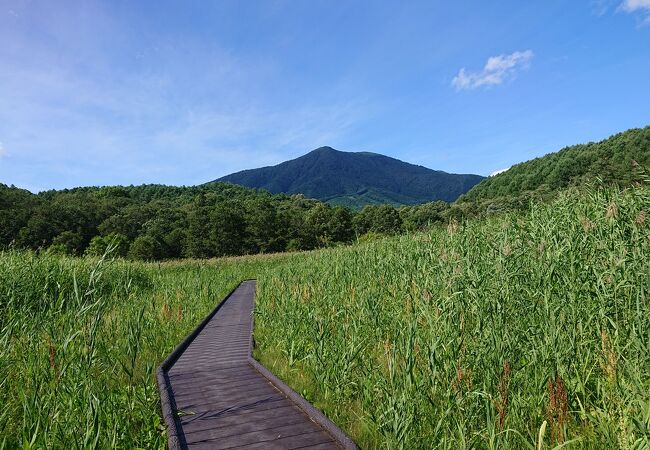 大谷地湿原