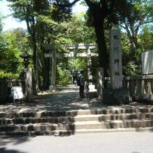 緑の樹々に囲まれ、静かな環境のもと、氷川神社の幽玄な様子です