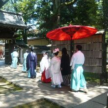 神主に先導され、本社殿に向かう新郎新婦です。これから結婚式