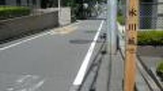 氷川坂を、７年ぶりに訪れました。今回は、氷川神社周辺の状況を確認するための現地調査です。