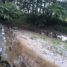 こじんまりしている