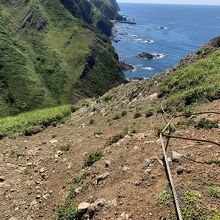 礼文島8時間コース