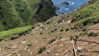 礼文島8時間コース