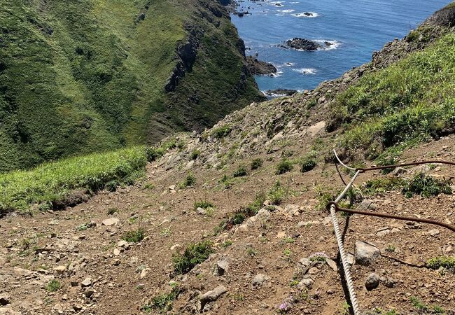 礼文島8時間コース