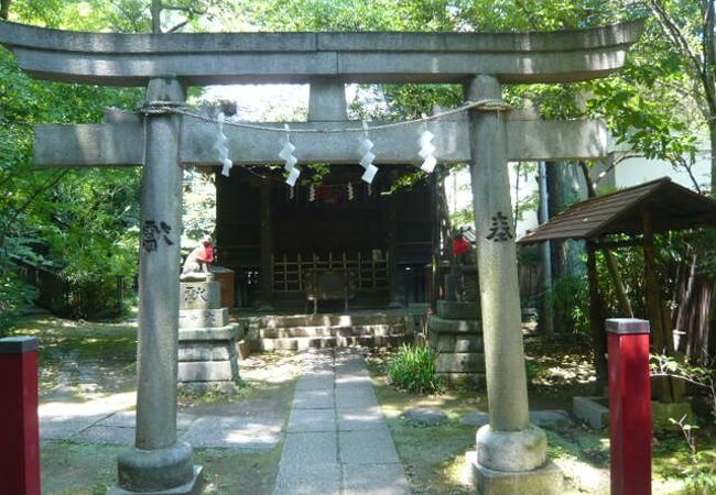 赤坂氷川神社の四合稲荷神社は、「しあわせ」神社と読むそうです。おめでたい名称で、貴重です。