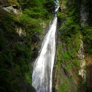 橋あり、吊り橋ありの渓谷沿いの山道で、かなり本格的なハイキング