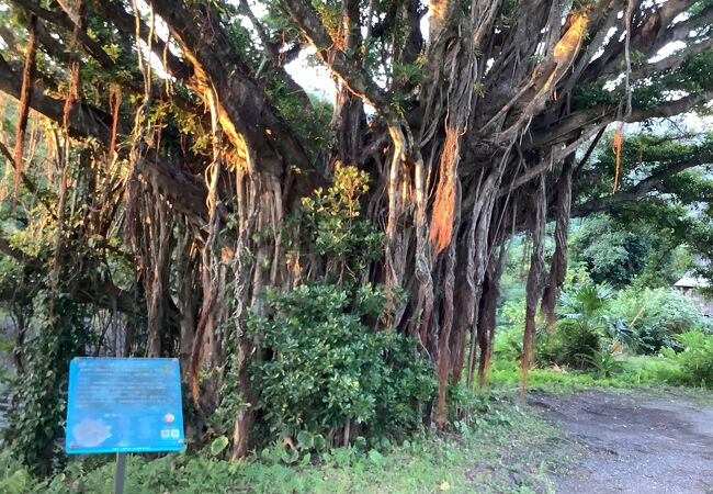 ゆったりしていてなかなか