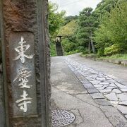 鎌倉の自然と一体となった素晴らしい寺院です。